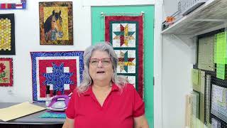 Quilters Station Revised Visit and Making Their All Missouri Shop Hop 2024  Block 57 [upl. by Panther]