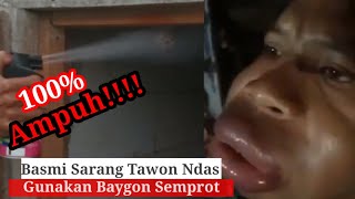 Ampuh Basmi Tawon VespaNdas dengan Baygon Semprot [upl. by Odnalra]