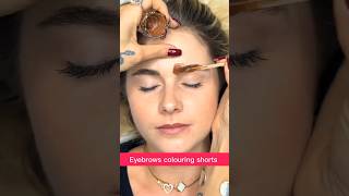 Eyebrows colouring shorts 24 juliedesigner youtubeshorts makeuptutorial makeuplover [upl. by Aneeroc]