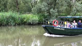 De Hollandse Biesbosch  Merwelanden in Dordrecht  Webcam Dordrecht [upl. by Lisan659]