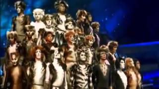 Jellicle Songs For Jellicle CatsCats [upl. by Nivad954]