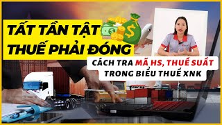 THUẾ PHẢI NỘP KHI NHẬP KHẨU TỪ TRUNG QUỐC VỀ VIỆT NAM  CÁCH TRA MÃ HS THUẾ SUẤT NHẬP KHẨU [upl. by Brynn]