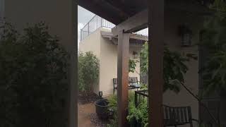 The FIRST MONSOON of the season Tucson Arizona [upl. by Sergu945]