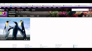 How To Share Flickr Photos to Facebook [upl. by Arbe85]