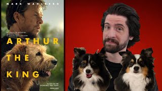 Arthur the King  Movie Review [upl. by Alathia]