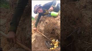 Great Treasure Hunt With Metal Detector metaldetecting shortvideo [upl. by Ediva554]