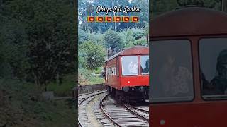 සංචාරකයින් ගේ පාරාදීසය🇱🇰Attraction in Ohiya Srilanka shorts travelling srilanka travel [upl. by Hsivat]