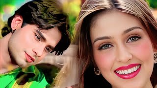 Chand Tare Phool Shabnam  Tumse Achcha Kaun Hai  Nakul Kapoor  90s Best Romantic Songs [upl. by Synned]