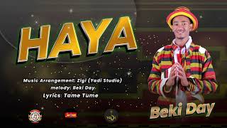 HayaBeki DayNew Ethiopian Wolaita Music Video 2024 Official Video [upl. by Carilla460]