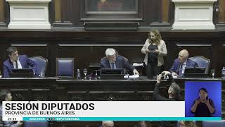 SESIÓN 12 DE NOVIEMBRE DE 2024  H Cámara de Diputados de la Provincia de Buenos Aires [upl. by Anierdna]