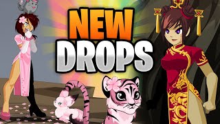 Not a Mod CLASS is Really Good NEW Rare DROPS and Items Added AQW [upl. by Nylimaj]