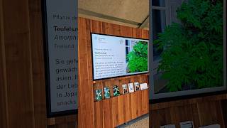 Botanischer Garten Tropenhaus shorts nature [upl. by Sheets433]