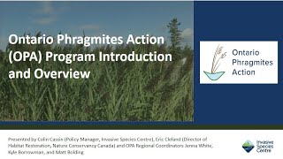 Ontario Phragmites Program OPA Introduction and Overview [upl. by Hooke]