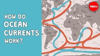 How do ocean currents work  Jennifer Verduin [upl. by Inar]