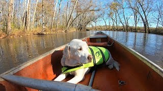 Stream boating [upl. by Olag]