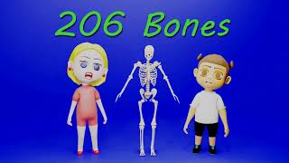 The Bones Song  Kids Science and Anatomy humanbody [upl. by Etheline]