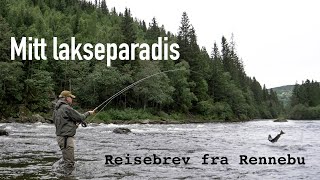 Mitt lakseparadis  laksefiske i Orkla [upl. by Oren509]