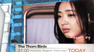 Today 323 The Thorn Birds  The First Episode [upl. by Guerra325]