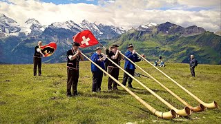 Das ALPHORN Traditional Swiss Music Instrument shorts [upl. by Janik]