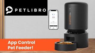 Petlibro Automatic Cat Feeder with app control [upl. by Enelyak]