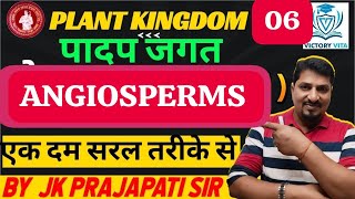 11 biology chapter 3 plant kingdom  angiosperms class 11 by jk prajapati sir [upl. by Nuhs]