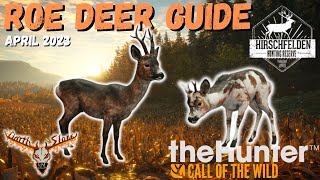 Hirschfelden Roe Deer Guide April 2023 the Hunter Call of the Wild [upl. by Robbins99]