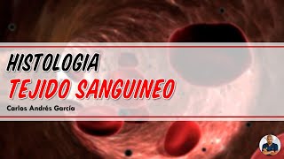 Histología  Tejido Sanguíneo Plasma Hematíes Leucocitos y Plaquetas [upl. by Suzette]