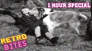 Lassie  1 Hour Special  Lassie English Full Episodes 🐕 [upl. by Dickman664]