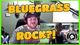 Thunderstruck By Steve n Seagulls Bluegrass Reaction [upl. by Arytas981]