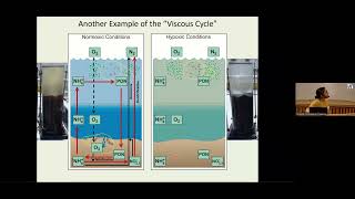 Low Oxygen Environments in Marine and Coastal Waters The 53rd Ocean Liedge Colloq 3rd GO2NE Confere [upl. by Orpheus]