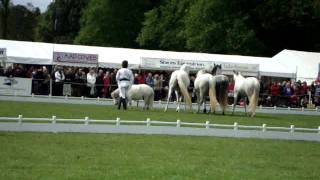 Jean Francois Pignon at Chatsworth Part 5 [upl. by Niwroc117]