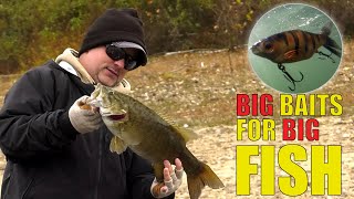 Big Baits for Smallmouth in Virginia [upl. by Nawoj]