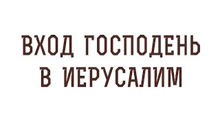 Вход Господень в Иерусалим Вербное воскресенье Священник Валерий Духанин Толкование Библии [upl. by Anayd]