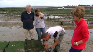 Ostréiculture à la Bernerie en Retz quotTRESORquot de bienfaits nutritionnels [upl. by Norok533]