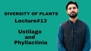 Lec13  Ustilago  Phyllactinia  Diversity of Plants  HS BIOLOGY [upl. by Ranson106]