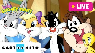 🔴 LIVE BABY LOONEY TUNES  24 Hours Compilation  Cartoonito  Cartoons For Kids [upl. by Jeromy]