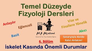 Temel Fizyoloji Dersleri Kas Fizyolojisi  Optimal Uzunluk Tetani Yorgunluk Kasılma Tipleri [upl. by Eivod]