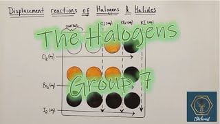 Halogens  Group 7  Properties amp Reactivity  Everything A GCSE Student Needs to Know [upl. by Saretta]