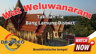 4K 🇹🇭 Wat Weluwanaram Takhian Tia  Boeddhistische tempel  2024 [upl. by Hnoj475]