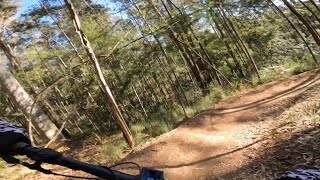 Narooma MTB Trails Open On ANZAC Day ✌🏽 [upl. by Kinelski]