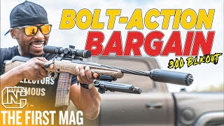 This New Budget Bolt Action Rifle Accepts Standard AR Mags  Ruger American Gen 2 Ranch Rifle [upl. by Rowen]