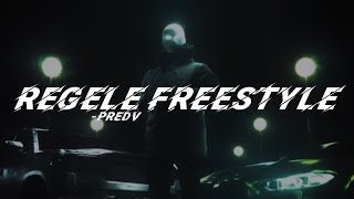 PREDV  REGELE FREESTYLE Official Lyrics Video [upl. by Elsy261]