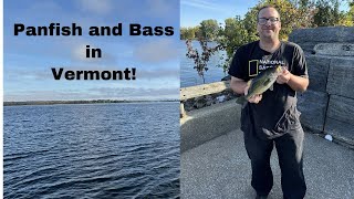 Nonstop panfish and bass in Vermont [upl. by Leund572]