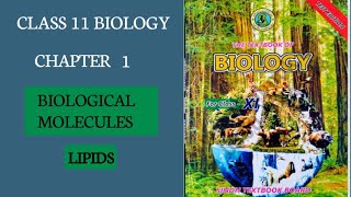 Lipids  Types of lipids  Class 11 New biology Book  BIOLOGICAL MOLECULES MDCAT [upl. by Ttoille]