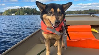 Big Pond Otis Mass Beautiful fall boat ride [upl. by Norraf]