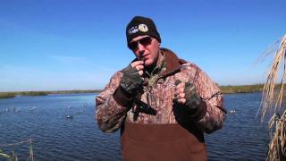 How to Call a Widgeon [upl. by Sofie670]