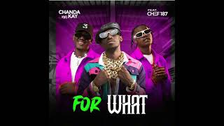 Chanda Na Kay ft Chef 187 – For What [upl. by Ahtekahs902]