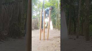 bowled vs bowled viralvideo crickerr cricket cricketlover cricketfan shorts short game [upl. by Komara]