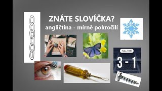 ANGLIČTINA  MÍRNĚ POKROČILÍ  Znáte slovíčka Umíte je použít ve větách cvičení [upl. by Halilad771]