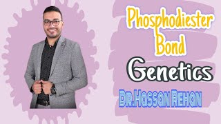 PhosphodiesterbondMolecularBiology [upl. by Ecinom]